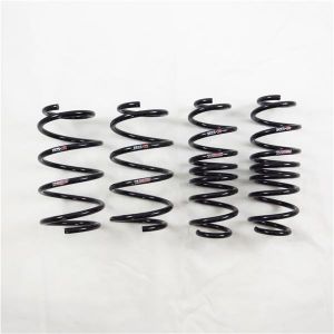 RS-R Ti2000 Down Springs W015TD