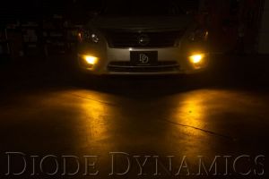 Diode Dynamics Replacement Bulbs DD0107P