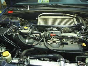 Mishimoto Silicone Hose - Ancillary MMHOSE-SUB-ANCBK